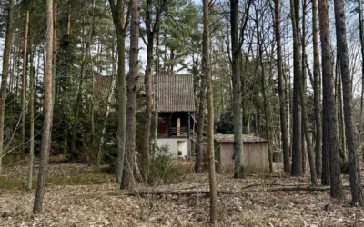 Działka budowlana z lasem i stawem w Warszawie Wawer – 5300 m² - Działki na sprzedaż