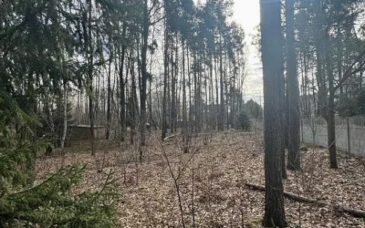 Działka budowlana z lasem i stawem w Warszawie Wawer – 5300 m² - Działki na sprzedaż