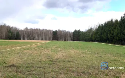 2 działki przy lesie - Działki na sprzedaż