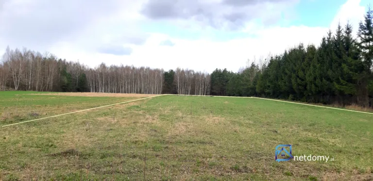 2 działki przy lesie - Działki na sprzedaż
