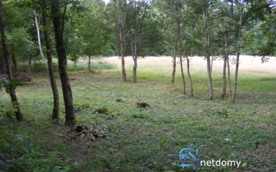 sprzedam działki rekreacyjno- letniskowe z możliwością zabudowy całorocznej - Działki na sprzedaż