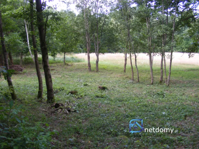 sprzedam działki rekreacyjno- letniskowe z możliwością zabudowy całorocznej - Działki na sprzedaż