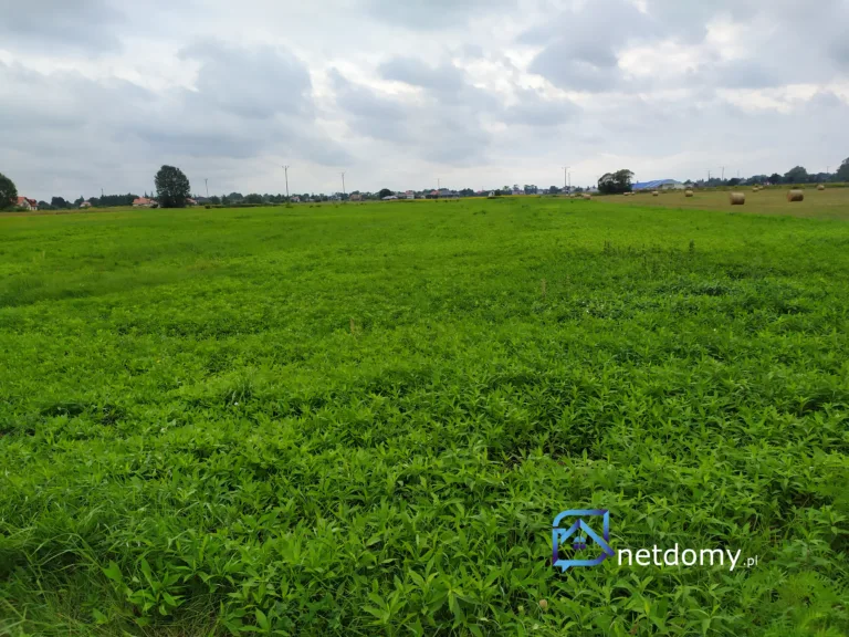 Sprzedam działkę w Radzyminie blisko obwodnicy - Działki na sprzedaż