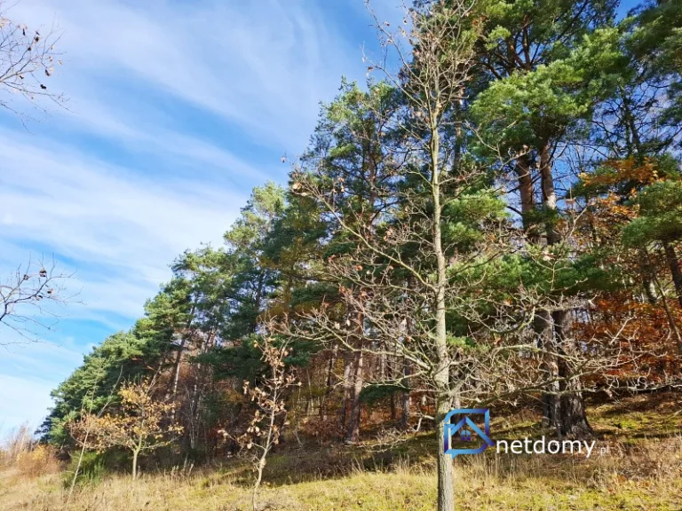 SPRZEDAM DUŻĄ DZIAŁKĘ ROLNĄ OBOK KARPACZA, Z MOŻLIWOŚCIĄ PRZEKSZTAŁCENIA - Działki na sprzedaż