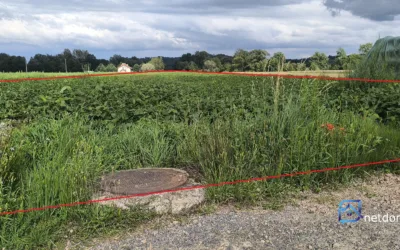 Sprzedam działkę rolno-budowlaną w Pierzchowie, 99a - Działki na sprzedaż
