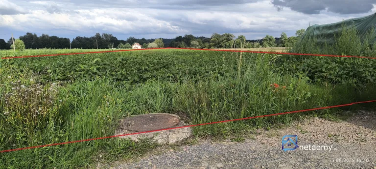 Sprzedam działkę rolno-budowlaną w Pierzchowie, 99a - Działki na sprzedaż