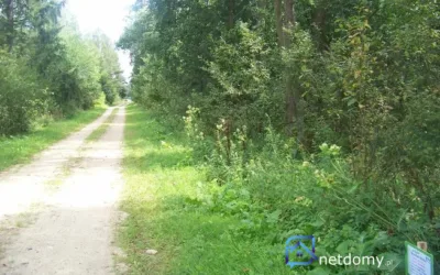 Sprzedam działkę - Działki na sprzedaż