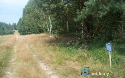 Sprzedam działkę – zdjęcie 2