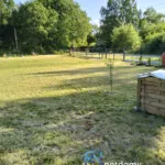 Ładzin - działka gotowa do budowy domu - Działki na sprzedaż