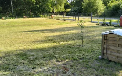 Ładzin - działka gotowa do budowy domu - Działki na sprzedaż