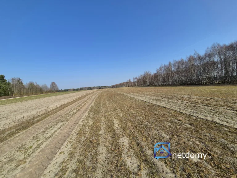 działki budowlane działka budowlana niedaleko Piotrków Trybunalski - Cekanów Rozprza - Działki na sprzedaż