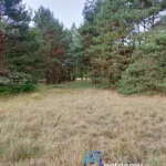 Działka rolna w Warunkami Zabudowy Świbinki - Działki na sprzedaż