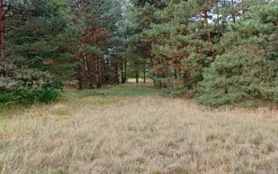 Działka rolna w Warunkami Zabudowy Świbinki - Działki na sprzedaż