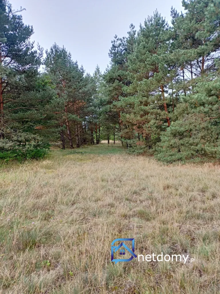 Działka rolna w Warunkami Zabudowy Świbinki - Działki na sprzedaż