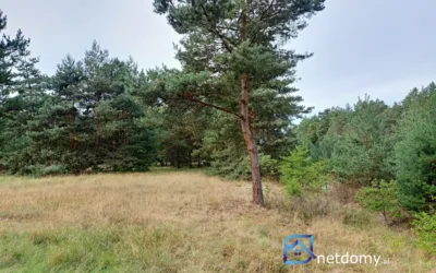 Działka rolna w Warunkami Zabudowy Świbinki – zdjęcie 4