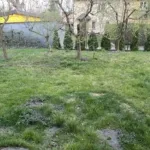 Działka budowlana 1000 m2 Pruszków ul. C.K. Norwida z mediami - Działki na sprzedaż