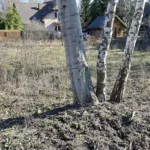 Działka budowlana 1000 m² Warszawa Wawer Aleksandrów - Działki na sprzedaż