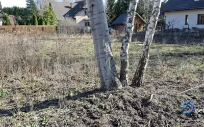Działka budowlana 1000 m² Warszawa Wawer Aleksandrów - Działki na sprzedaż