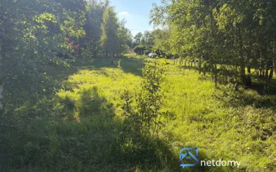 Sprzedam 5,2 ara spokoju 35 minut od Krakowa – zdjęcie 2