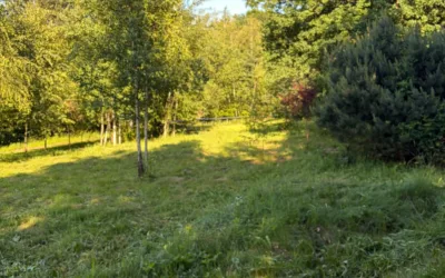 Sprzedam 5,2 ara spokoju 35 minut od Krakowa – zdjęcie 4
