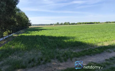 Sprzedam działkę rekreacyjno-budowlaną - Działki na sprzedaż
