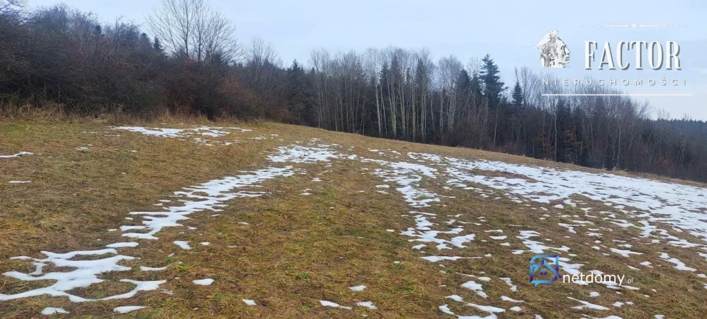Siary działka budowlana 0,66 ha 1171S - Działki na sprzedaż