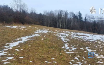 Siary działka budowlana 0,66 ha 1171S - Działki na sprzedaż