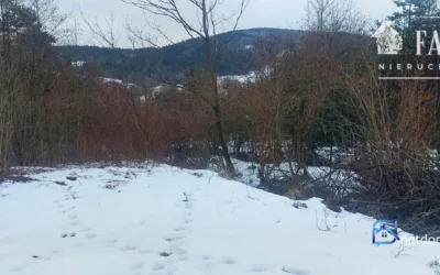 Siary działka budowlana 0,92 ha 1177S – zdjęcie 2