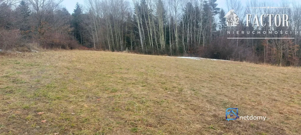 Siary (gm. Sękowa) działka budowlana 41 a 1172S - Działki na sprzedaż