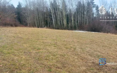 Siary (gm. Sękowa) działka budowlana 41 a 1172S - Działki na sprzedaż