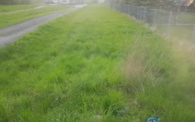 działka 1400 m2 w szaflarach 350 tysięcy – zdjęcie 3