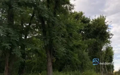 Działka budowlana 20 arów, UZBROJONA – Staw, gm. Czarnożyły (blisko Wielunia)