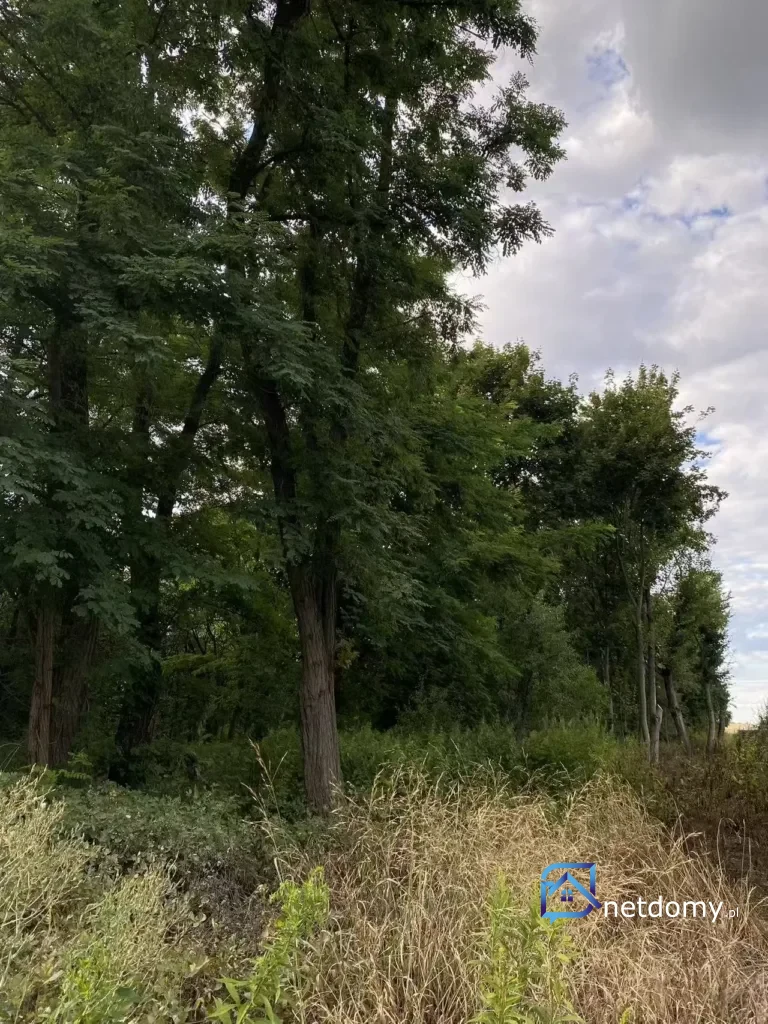 Działka budowlana na sprzedaż – Staw, gmina Czarnożyły