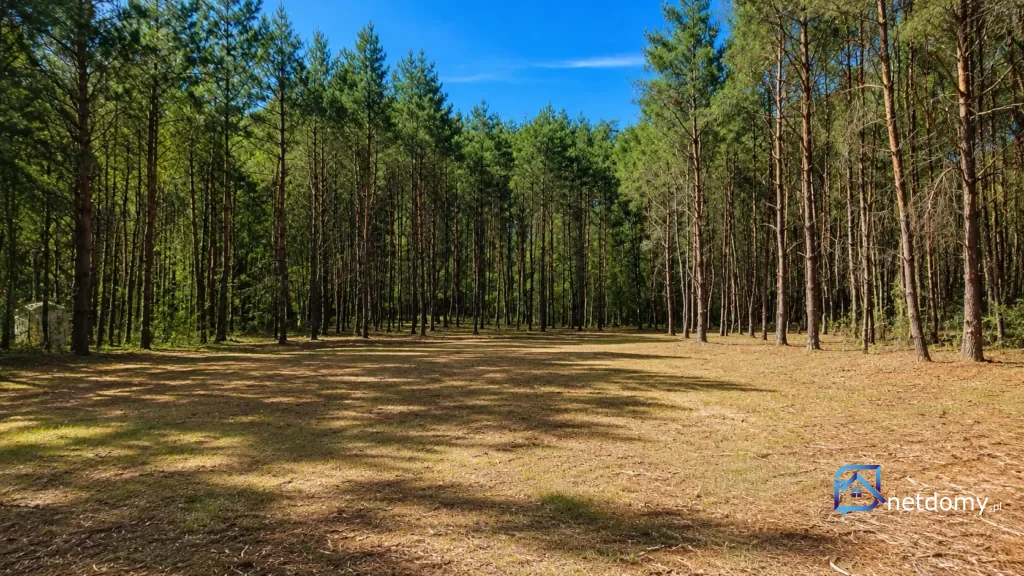 Działka budowlana na sprzedaż – Karczewko, gmina Kiszkowo