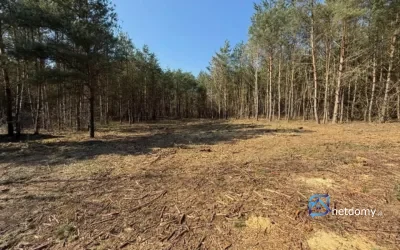 Działka budowlana na sprzedaż – Karczewko, gmina Kiszkowo – ujęcie 4