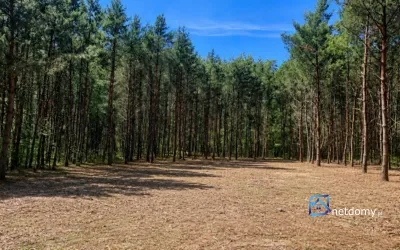 Działka budowlana na sprzedaż – Karczewko, gmina Kiszkowo – ujęcie 5
