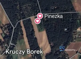 Działka budowlana na sprzedaż – Kruczy Borek, gmina Zatory – ujęcie 3