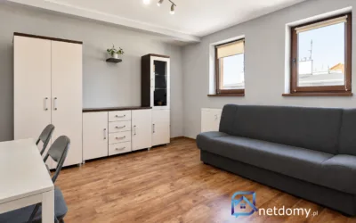 Spokojne mieszkanie na wynajem | 28 m2 | Hallera | Parking| BEZ PROWIZJI - Mieszkania na sprzedaż
