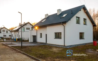 Nowoczesny dom wolnostojący z tarasem – Łódź Chojny 170 m² - Netdomy