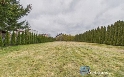 Wielorodzinny dom wolnostojący z ogrodem w Skale pod Krakowem - Netdomy