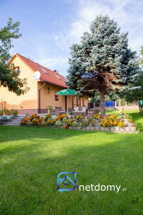 (10) Dom na sprzedaż – Szczecin Dąbie 149 m2 działka 13 arów - Netdomy