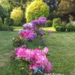 Posiadłość 100 m² na działce 6000 m² – Choroszcz / Łyski, przy S8 - Netdomy