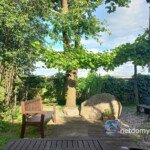 Posiadłość 100 m² na działce 6000 m² – Choroszcz / Łyski, przy S8 - Netdomy