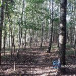 Posiadłość 100 m² na działce 6000 m² – Choroszcz / Łyski, przy S8 - Netdomy