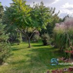 Posiadłość 100 m² na działce 6000 m² – Choroszcz / Łyski, przy S8 - Netdomy