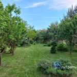 Posiadłość 100 m² na działce 6000 m² – Choroszcz / Łyski, przy S8 - Netdomy