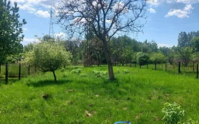 Dom 240 m² z działką 2 672 m² – Sosnowiec Klimontów - Netdomy