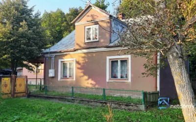 Dom, bud. gospodarcze i 3000m.kw. działki - Netdomy