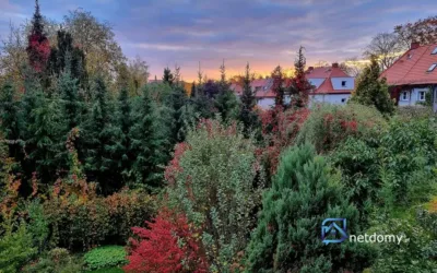 Gliwice Centrum, ul. Mickiewicza – dom szeregowy 117 m² przy Placu Grunwaldzkim z ogrodem i garażem - Netdomy