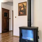 Płock, Borowiczki – dom 160 m² na działce 3600 m² z garażem i budynkiem gosp., ul. Grabówka - Netdomy